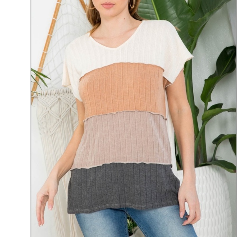 Color Block earth tone PLUS sz MERROW short SLEEVE TOP, IVORY-CAMEL-MOCHA-BLACK